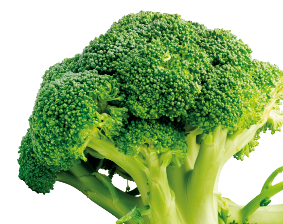 Broccoli-NoOutline 3