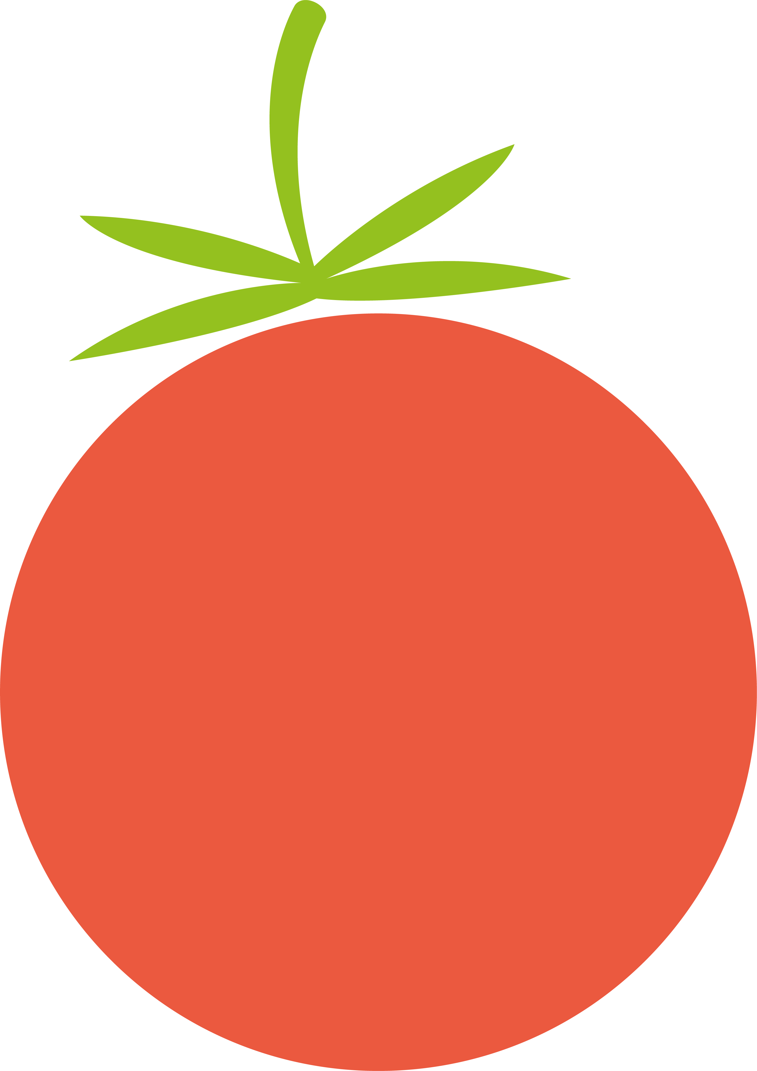 Tomato  icon