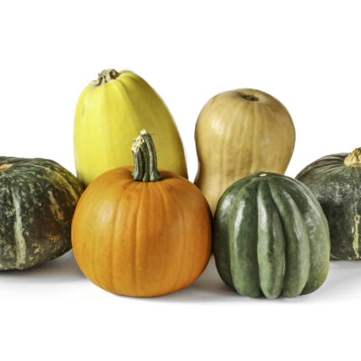 Assorted pumpkin and squash isolated on white